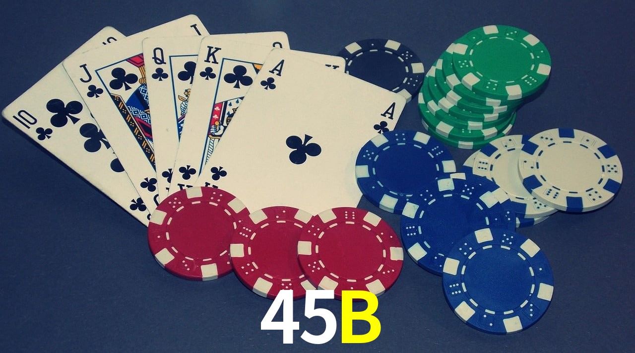 Experiência VIP 45B